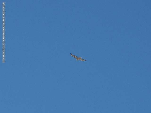 PICT1514