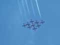 0617-Snowbirds