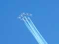 0622-Snowbirds