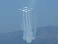 0643-Snowbirds