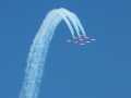 0644-Snowbirds