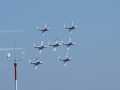 0664-Snowbirds
