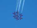 0687-Snowbirds