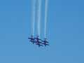 0690-Snowbirds