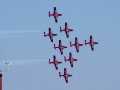 0728-Snowbirds