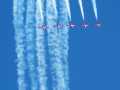 0754-Snowbirds