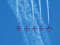 0757-Snowbirds