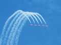 0769-Snowbirds