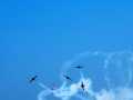 0779-Snowbirds