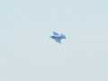 0800-Snowbirds