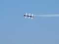 0811-Snowbirds