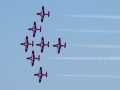 0838-Snowbirds