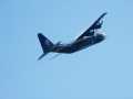 0986-Fat_Albert